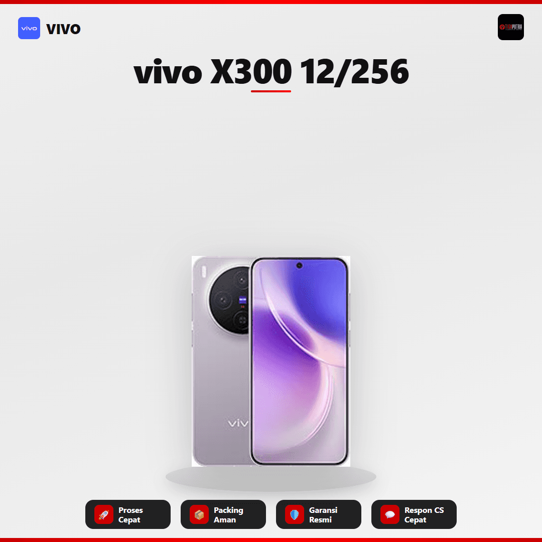 Vivo X300